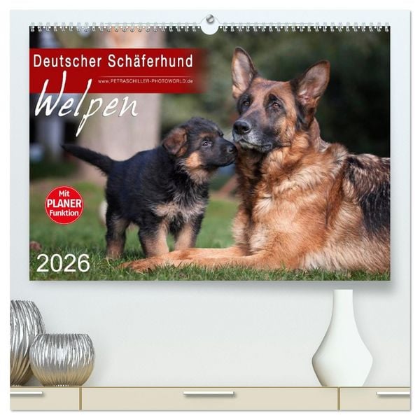 Produktbild: Deutscher Sch&auml;ferhund - Welpen (hochwertiger Premium Wandkalender 2026 DIN A2 quer), Kunstdruck in Hochglanz