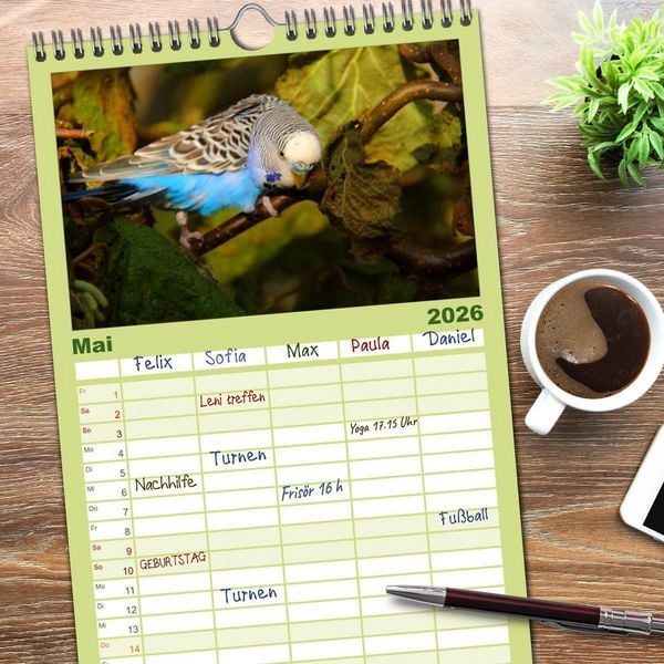 Produktbild: Familienplaner 2026 - Wellensittiche mit 5 Spalten (Wandkalender, 21 x 45 cm) CALVENDO