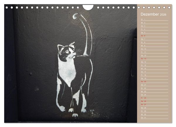 Produktbild: Flensburger Katzen (Wandkalender 2026 DIN A4 quer), CALVENDO Monatskalender