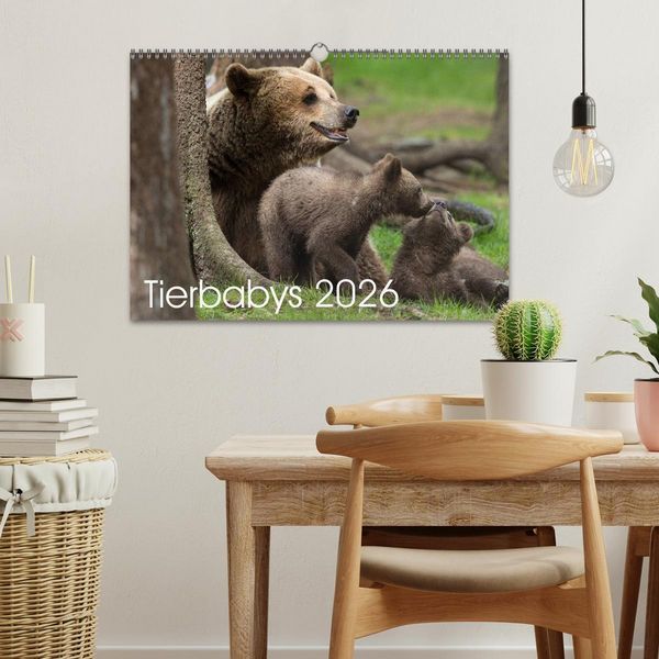 Produktbild: Tierbabys 2026 (Wandkalender 2026 DIN A3 quer), CALVENDO Monatskalender