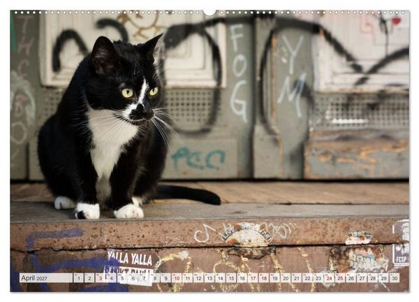 Produktbild: Buntes Hamburg (Wandkalender 2027 DIN A2 quer), CALVENDO Monatskalender