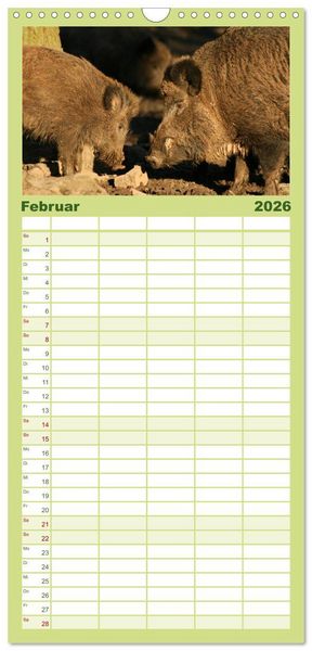 Produktbild: Familienplaner 2026 - Schweinkram - Die Wildschweine sind los mit 5 Spalten (Wandkalender, 21 x 45 cm) CALVENDO