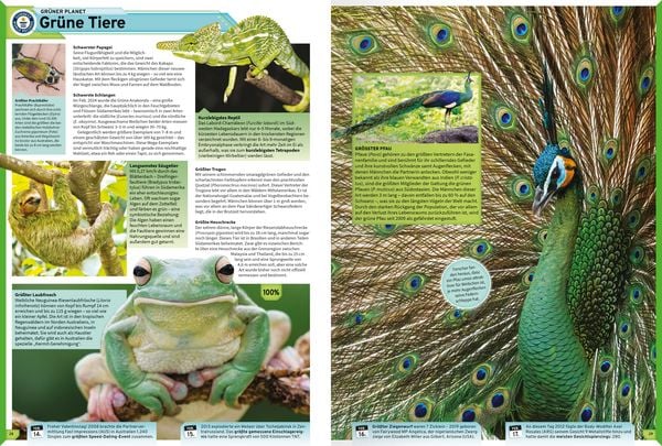 Produktbild: Guinness World Records - 2027