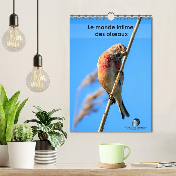 Produktbild: Le monde intime des oiseaux (Calendrier mural 2026 DIN A4 horizontal), CALVENDO calendrier mensuel