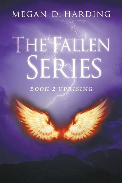 Produktbild: The Fallen Series