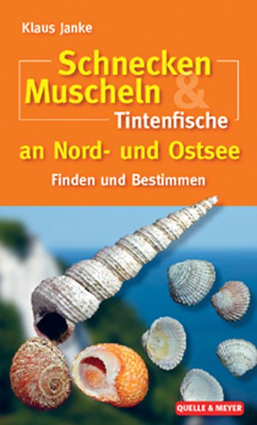 Produktbild: Schnecken, Muscheln & Tintenfische an Nord- und Ostsee