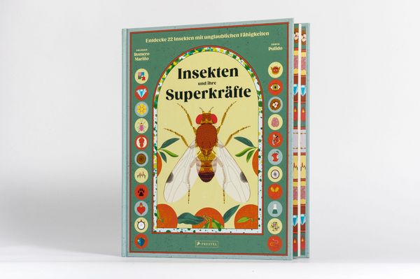 Produktbild: Insekten und ihre Superkr&auml;fte