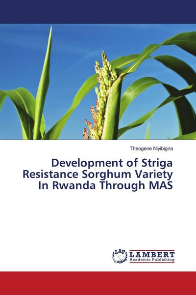 Produktbild: Development of Striga Resistance Sorghum Variety In Rwanda Through MAS