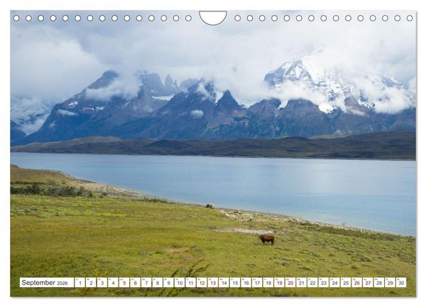 Produktbild: S&Uuml;DAMERIKA Eine Bilderreise durch Argentinien, Bolivien, Peru und Chile 2026 (Wandkalender 2026 DIN A4 quer), CALVENDO Monatskalender