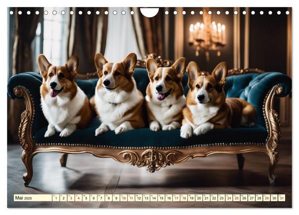 Welsh Corgi Pembroke (Wandkalender 2025 DIN A4 quer), CALVENDO Monatskalender