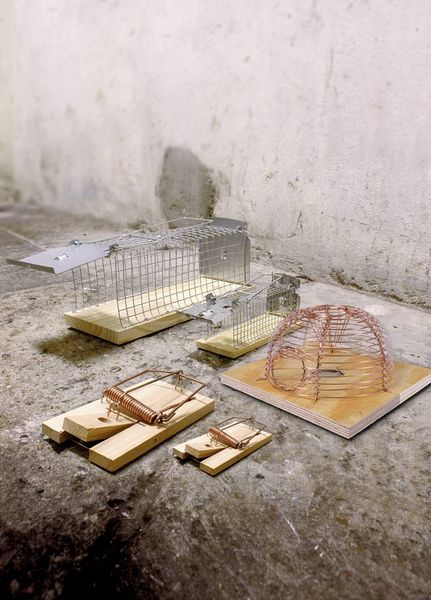 Produktbild: Swissinno Mouse Classic Lebendfalle 1St.