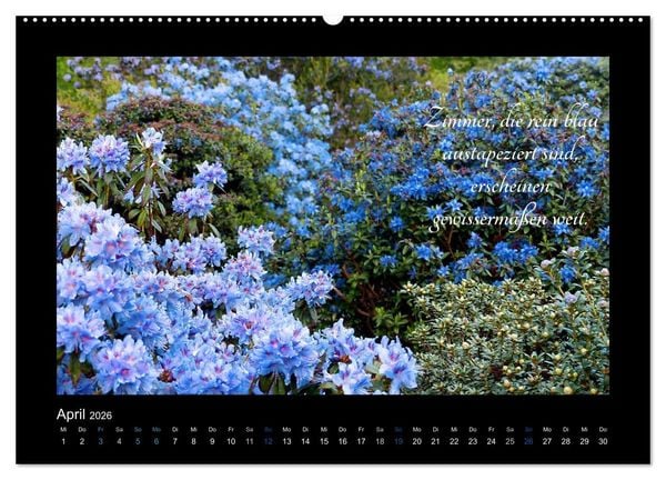 Produktbild: Goethes Blau. Gedanken zur Farbe (Wandkalender 2026 DIN A2 quer), CALVENDO Monatskalender