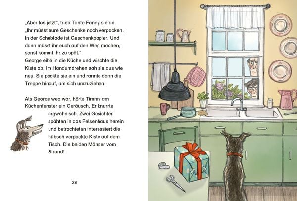 Produktbild: Fünf Freunde JUNIOR - Das Geburtstags-Abenteuer