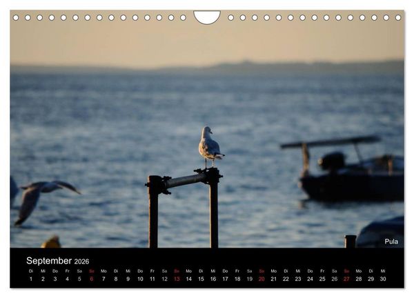Produktbild: ISTRIEN - Die Perle Kroatiens (Wandkalender 2026 DIN A4 quer), CALVENDO Monatskalender