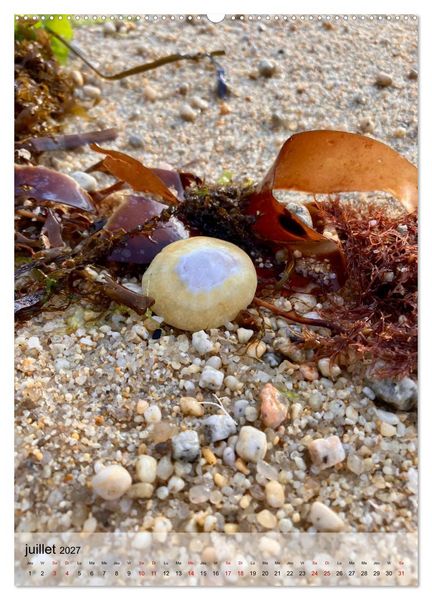 Produktbild: Plages et coquillages (Calendrier mural 2027 DIN A2 horizontal), CALVENDO calendrier mensuel
