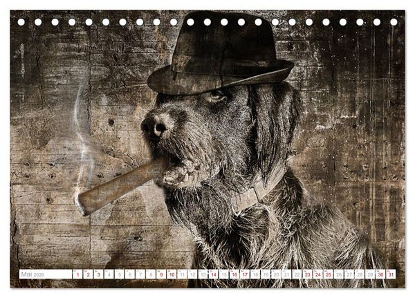 Produktbild: Hund tr&auml;gt Hut (Tischkalender 2026 DIN A5 quer), CALVENDO Monatskalender