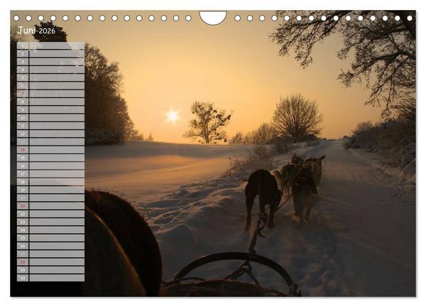 Produktbild: Huskies! (Wandkalender 2026 DIN A4 quer), CALVENDO Monatskalender