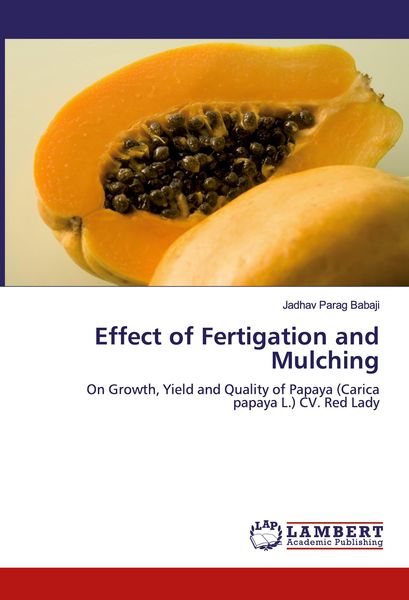 Produktbild: Effect of Fertigation and Mulching