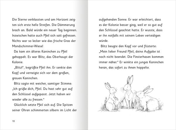 Produktbild: Magische H&auml;schen &ndash; Knuffiges Chaos