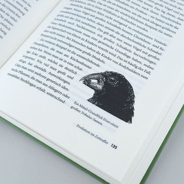 Produktbild: Gl&uuml;cksfall Mensch