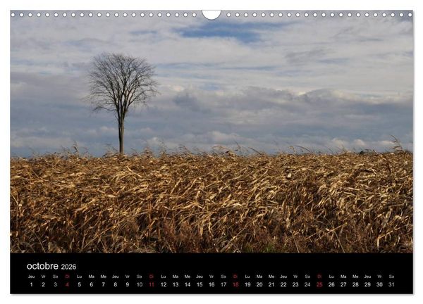 Produktbild: Regard sur les saisons du Qu&eacute;bec (Calendrier mural 2026 DIN A3 vertical), CALVENDO calendrier mensuel