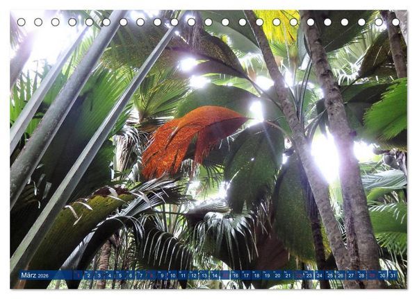 Produktbild: Seychellen - Wild und Sch&ouml;n (Tischkalender 2026 DIN A5 quer), CALVENDO Monatskalender