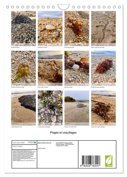 Produktbild: Plages et coquillages (Calendrier mural 2027 DIN A4 horizontal), CALVENDO calendrier mensuel