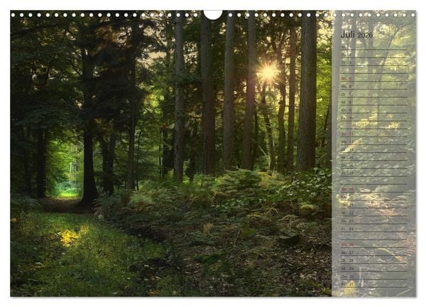 Produktbild: Unser Wald - Magische Sichten in norddeutsche W&auml;lder / Geburtstagskalender (Wandkalender 2026 DIN A3 quer), CALVENDO Monatskalender