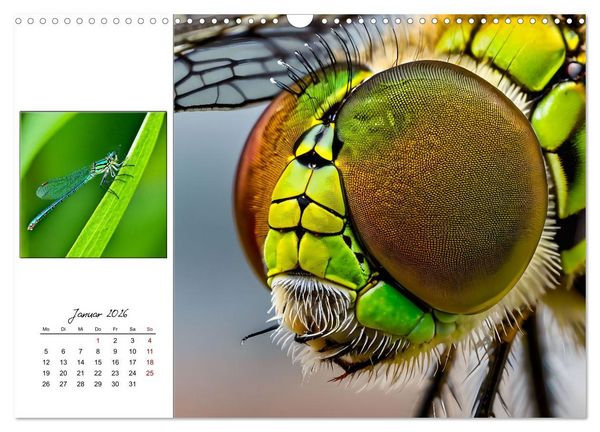 Produktbild: Facettenaugen - Meisterwerke der Natur (Wandkalender 2026 DIN A3 quer), CALVENDO Monatskalender
