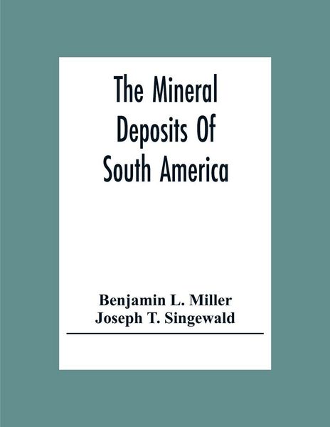 Produktbild: The Mineral Deposits Of South America