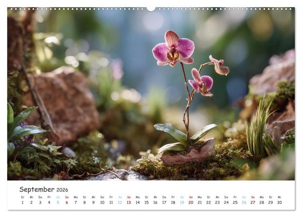 Produktbild: Im Schatten der Orchidee (Wandkalender 2026 DIN A2 quer), CALVENDO Monatskalender