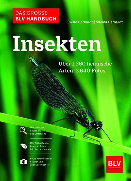 Produktbild: Das gro&szlig;e BLV Handbuch Insekten