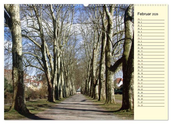 Produktbild: T&uuml;bingen erleben (Wandkalender 2026 DIN A2 quer), CALVENDO Monatskalender