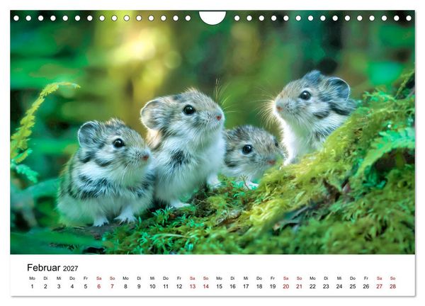 Produktbild: Lemminge - Kleine Helden der Tundra (Wandkalender 2027 DIN A4 quer), CALVENDO Monatskalender