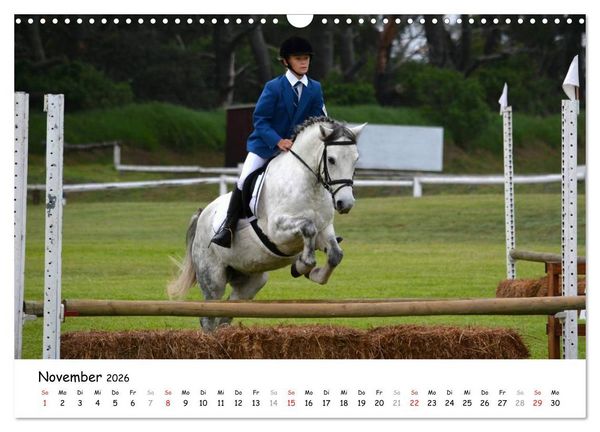 Produktbild: Pony Springreiten (Wandkalender 2026 DIN A3 quer), CALVENDO Monatskalender