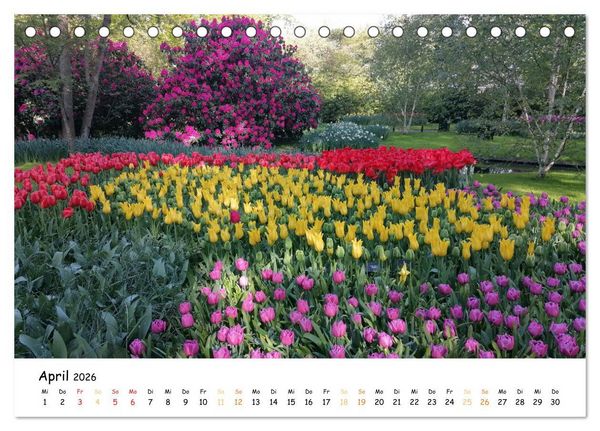 Produktbild: Auf Tour im Land der Tulpen (Tischkalender 2026 DIN A5 quer), CALVENDO Monatskalender
