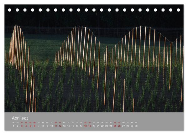 Produktbild: Hallertau (Tischkalender 2026 DIN A5 quer), CALVENDO Monatskalender
