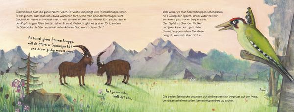 Produktbild: Gian und Giachen und der Sternschnuppenberg