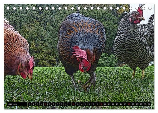 Produktbild: Die H&uuml;hner sind los! (Tischkalender 2026 DIN A5 quer), CALVENDO Monatskalender