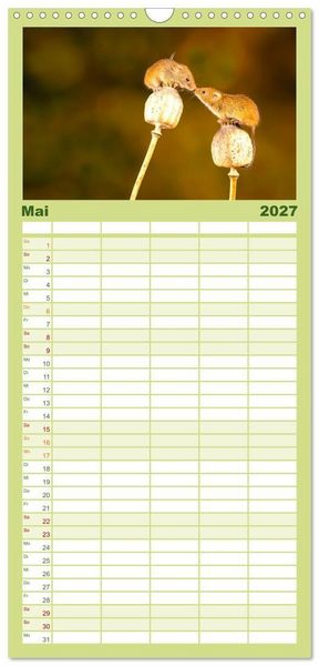 Produktbild: Familienplaner 2027 - Die Tiere des Waldes mit 5 Spalten (Wandkalender, 21 x 45 cm) CALVENDO