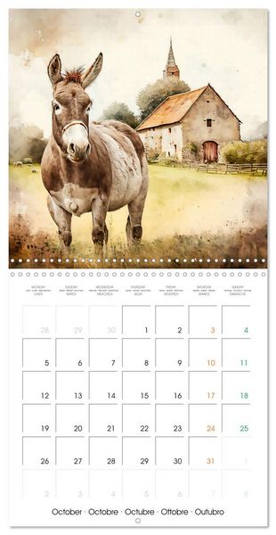 Produktbild: Regard sur la ferme (Calendrier mural carr&eacute; 2026 30x30 cm) Calendrier double avec une page pour vos prises de notes