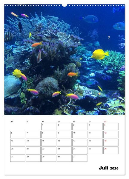 Produktbild: Tauchen - Abtauchen und Staunen (Wandkalender 2026 DIN A2 hoch), CALVENDO Monatskalender