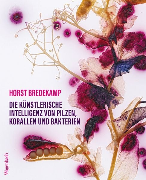 Produktbild: Die k&uuml;nstlerische Intelligenz von Pilzen, Korallen und Bakterien