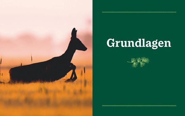 Produktbild: Einfach Wild