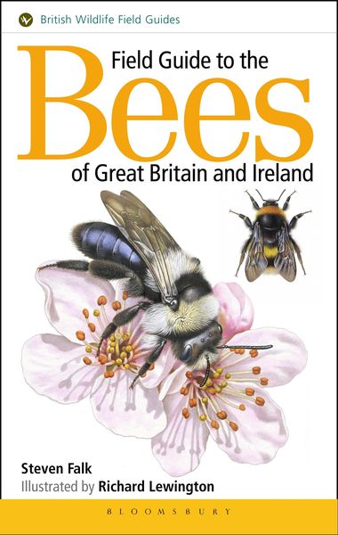 Produktbild: Field Guide to the Bees of Great Britain and Ireland