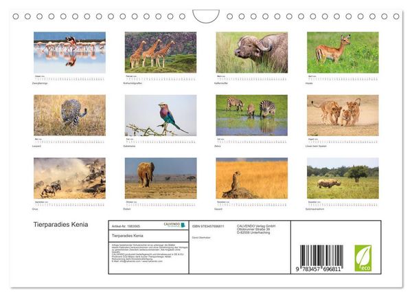 Produktbild: Tierparadies Kenia (Wandkalender 2026 DIN A4 quer), CALVENDO Monatskalender