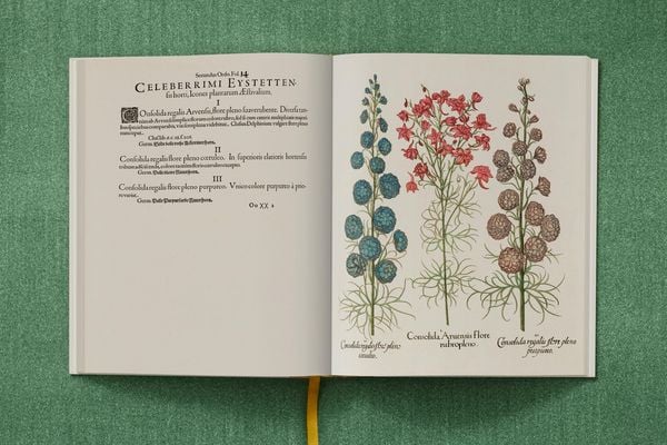 Produktbild: Basilius Besler