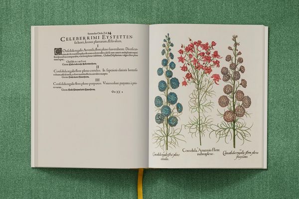 Produktbild: Basilius Besler. The Garden at Eichst&auml;tt