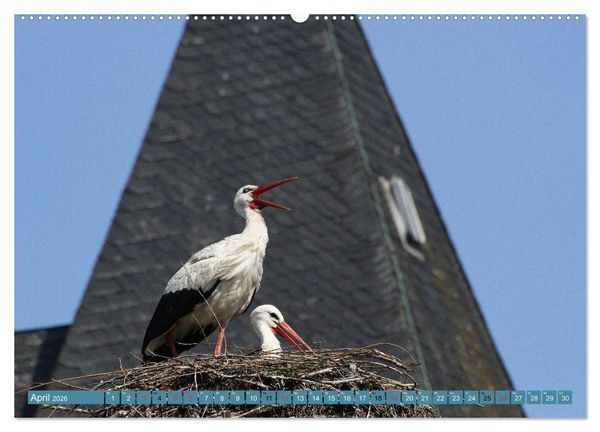 Produktbild: Hannoversches Wendland Vertr&auml;umtes Landleben (hochwertiger Premium Wandkalender 2026 DIN A2 quer), Kunstdruck in Hochglanz
