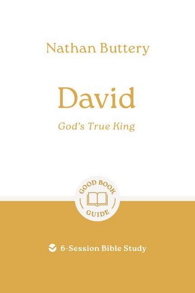 Produktbild: David: God's True King